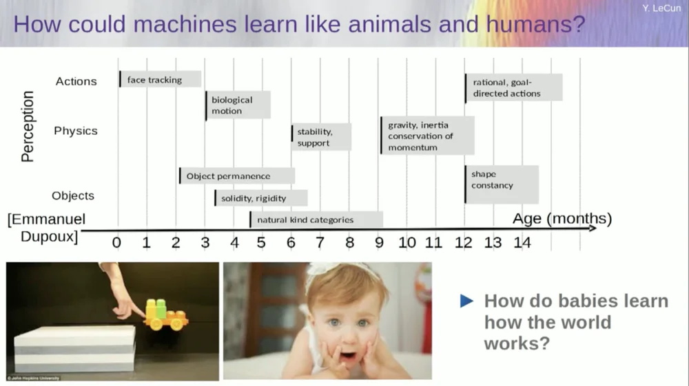 Yann LeCun：今天的AI比猫还笨，自曝早已放弃大模型