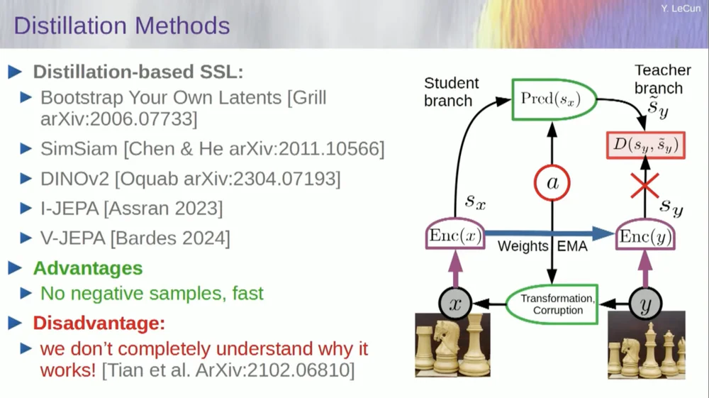 Yann LeCun：今天的AI比猫还笨，自曝早已放弃大模型