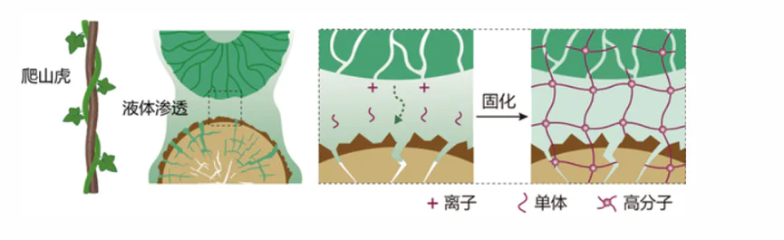 柔性电池，要革共享充电宝的命